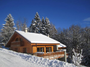 Отель Chalet Les Jumelles, Сен-Пmьер-Д'альбиньи